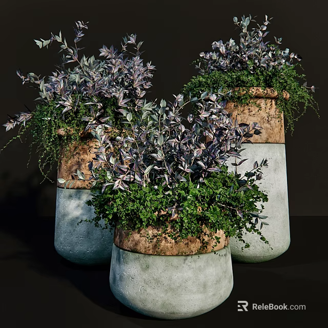 Decorative Plant Arrangement With Textured Ceramic Pots And Lush Green Purple Foliage 3d model 