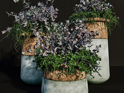 Decorative Plant Arrangement With Textured Ceramic Pots And Lush Green Purple Foliage 3d model