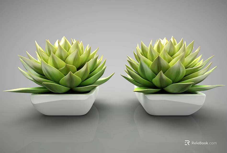 Modern Bonsai Potted Plants With Green Succulent Leaves And White Containers 3d model 