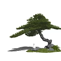 Indoor Landscape with Curved Pine Tree Rocks Green Grass and White Crane