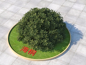 Modern Haitong plants 3d model