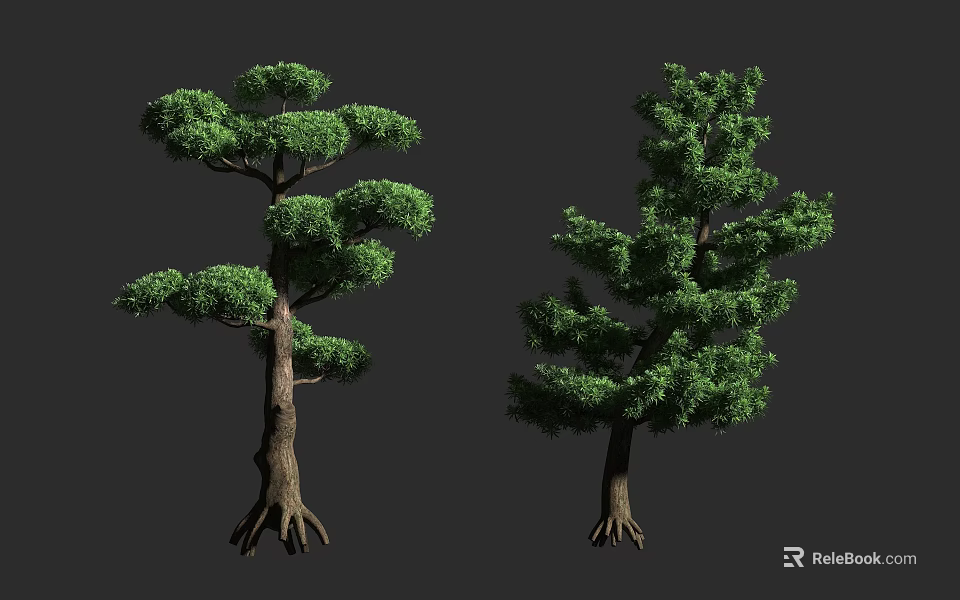 Two Lush Green Trees With Thick Trunks And Exposed Roots 3d model 
