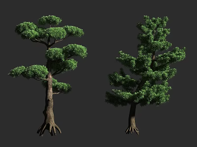 Two Lush Green Trees With Thick Trunks And Exposed Roots 3d model