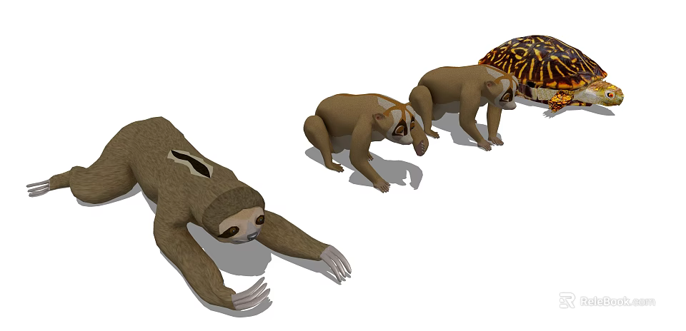 Reptile Turtles with Patterned Shells Moving Slowly in Natural Habitat Scene 3d model