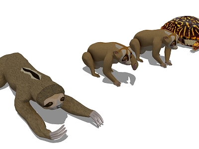 modern animal model