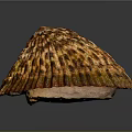 Beautiful Marine Limpet Shell With Brown Yellow Stripes And Textured Surface