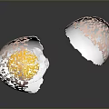Cracked Egg Halves With Yolk in One and Empty in the Other