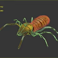 Orange and Yellow Arthropod with Long Legs Striped Body on Dark Background