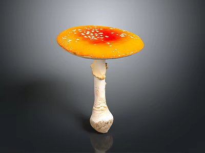 Fresh Orange Red Cap Vegetable Mushroom With White Spots And White Stem 3d model