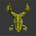 Yellow Frog With Black Spots And White Belly And Feet On Gray Background