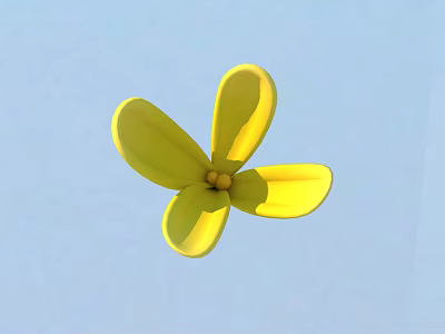 Yellow Flower With Four Petals On Light Blue Background Showing Natural Charm 3d model