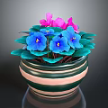 Potted Plant With Blue Purple And Pink Flowers Green Leaves In Striped Green Beige Pot