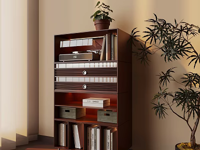 Cozy Indoor Bookshelf Setup With Books File Boxes Potted Plant And Large Green Plant 3d model