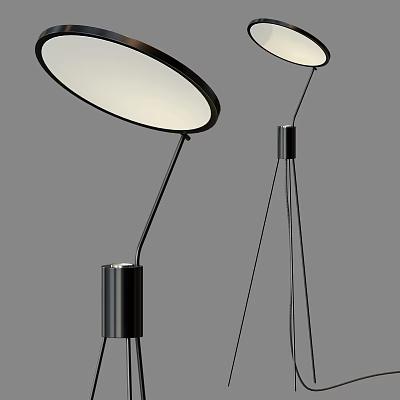 Modern Floor Lamp With Round Shade And Black Metal Stand For Contemporary Home 3d model