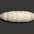 White Segmented Larva With Small Spines On Dark Reflective Surface