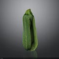 Fresh Green Striped Zucchini Vegetable On Dark Background With Smooth Skin