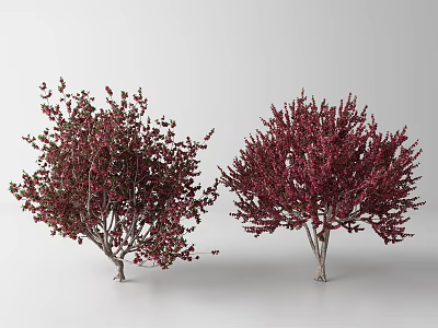 Two Arbor Trees With Red And Green Foliage And Small Fruits 3d model