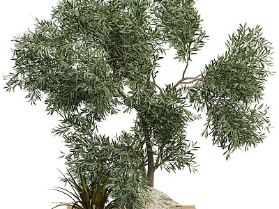 Lush Green Arbor With Dense Foliage And Surrounding Small Plants On Rock Base 3d model