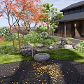 Japanese Courtyard Garden With Red Maple Trees Stones Green Lawn And Wooden House