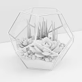 Bonsai Potted Plant In Hexagonal Glass Container With Succulents And Small Pebbles On Wooden Tabletop