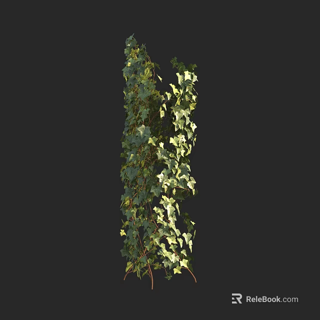 Lush Vine Plant With Green Leaves Climbing Upward Against Black Background 3d model 