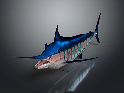 Blue Marlin Aquatic Animal With Colorful Striped Body Realistic 3D Rendering Isolated Dark Background 3d model
