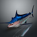 Blue Marlin Aquatic Animal With Colorful Striped Body Realistic 3D Rendering Isolated Dark Background