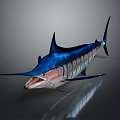 Modern northern bluefin tuna albacore tuna yellowfin tuna 3d model