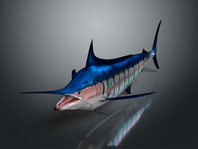 Modern northern bluefin tuna albacore tuna yellowfin tuna 3d model