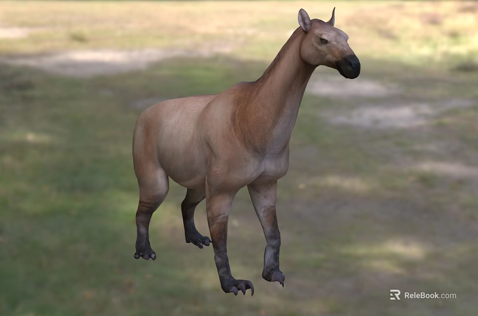 Reptile Species In Natural Habitat With Distinct Physical Features And Wildlife Environment 3d model 