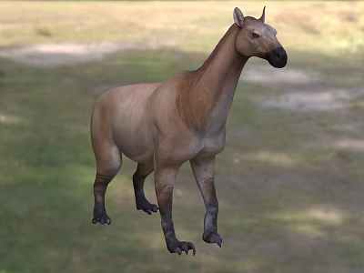 Reptile Species In Natural Habitat With Distinct Physical Features And Wildlife Environment 3d model