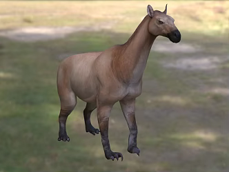 Boricia Beast Animal Creatures 3d model