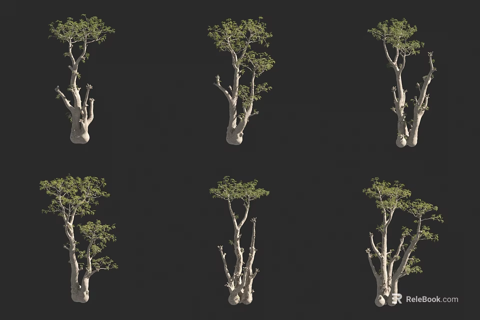Various Arbor Trees With Distinct Trunks Branches And Green Foliage 3d model