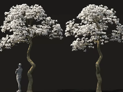 Two Trees with Curved Trunks Covered in White Flowers and Standing Human Figure Sculpture 3d model