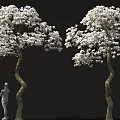 Two Trees with Curved Trunks Covered in White Flowers and Standing Human Figure Sculpture