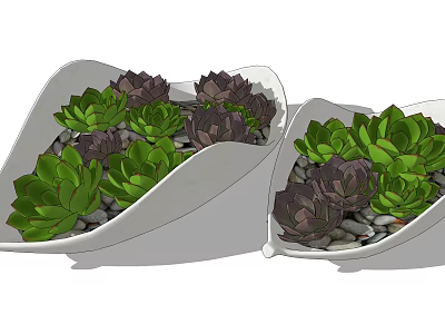 Bonsai Succulent Planters In White Bowls With Green And Purple Succulents And Small Pebbles 3d model