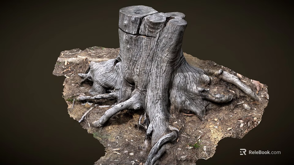 Old Tree Stump With Exposed Roots Surrounded By Natural Soil And Small Plants 3d model 