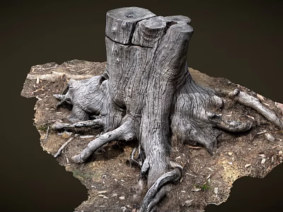Old Tree Stump With Exposed Roots Surrounded By Natural Soil And Small Plants 3d model