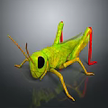 3D Rendered Green Grasshopper With Red Legs And Large Eyes On Gray Background