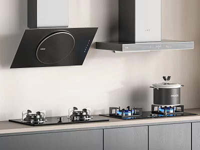 Modern Kitchen Appliances With Slanted And Overhead Range Hoods And Gas Stoves 3d model