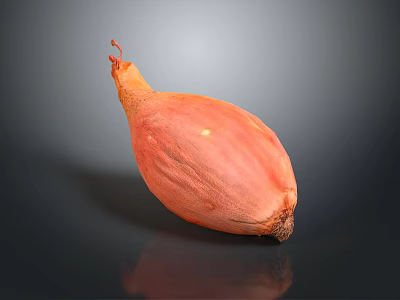 Fresh Whole Orange Red Onion on Dark Background with Natural Shine 3d model