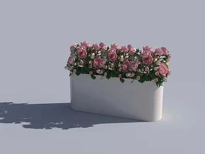 Beautiful Pink Roses In White Rectangular Flower Pot With Green Leaves 3d model