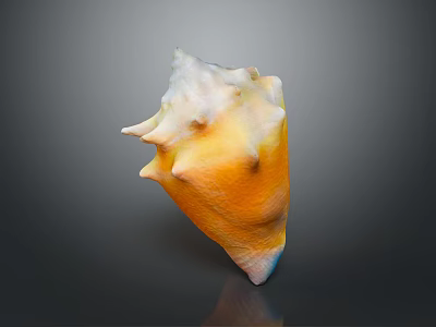 Colorful Spiky Conch Shell With Yellow White Hue On Dark Background 3d model