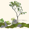 Lush Arbor with Green Plants and Scattered Stones in Natural Grassland