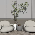 Casual Sofa Set Creamy White Rounded With Green Plant White Planter Light Wall Wooden Floor