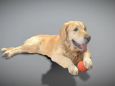 Modern dog golden retriever 3d model Modern dog golden retriever 3d model