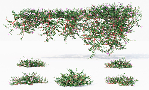 Modern Vine Climbing Vine Flower 3d model