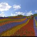 Vibrant Park Landscape With Colorful Flower Fields On Hillside Blue Sky And Distant Trees