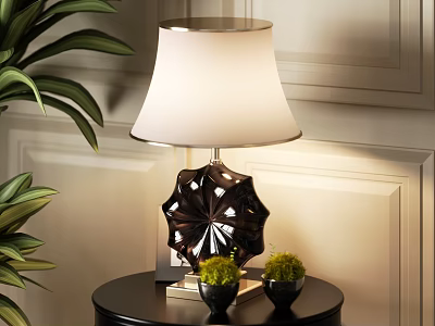 Elegant Table Lamp with Dark Star Shaped Base Light Shade beside Green Plants on Black Table 3d model
