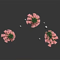 Three Pink Foxglove Plants With Green Stems Bell Flowers And Shiny Accents On Dark Background